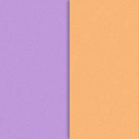  Lavender mixed with light orange, is?