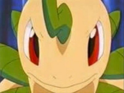  True or false: Bayleef battled another Pokemon in a movie as a Bayleef.