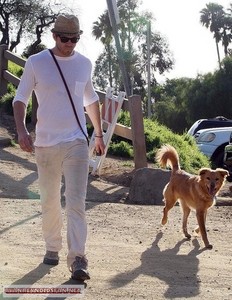 What state did Ryan adopt his dog from?