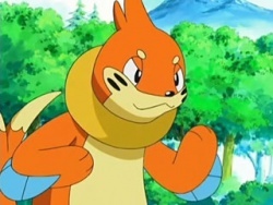  Has Buizel ever fought a flying-type Pokemon before?