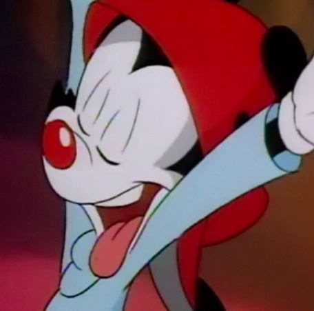 How many siblings does Wakko have?