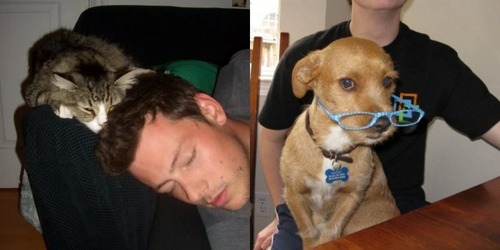 (True or False) Cory Monteith and Chris Colfer are both animal lovers.