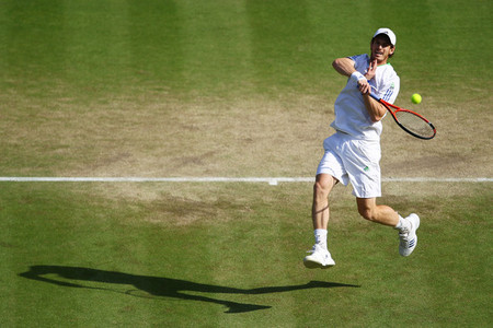  Murray has reached 3 consecutive Wimbledon semi finals.