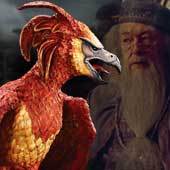  Dumbledore's magical familiar is a phoenix named Fawkes. How was its name translated into French ?