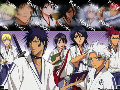 How old is the Soul Reaper academy?