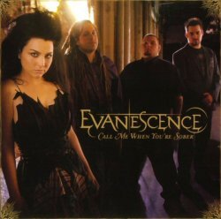 Who directed Evanescence's music video, Call Me When You're Sober?
