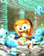  What Sonic X episodes are Tikal in?
