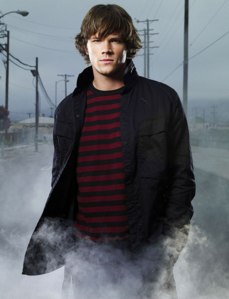  Jared Padalecki voices Sam in how many episodes?