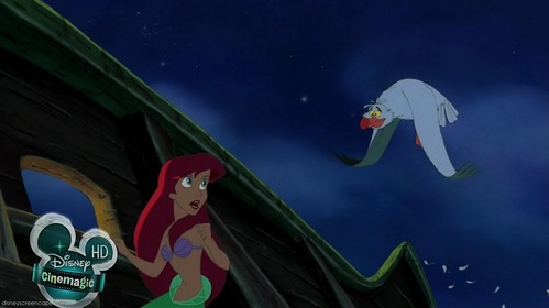 Scuttle: "Hey there, sweetie! _____________ a show, ____?"