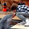 Aww He Luvs Dolphins!! JBsPURPLEluva photo
