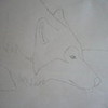 my drawing Ice_wolf photo