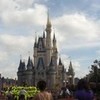 Disney World Castle :D silverlocket photo