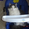 my kat bridern photo