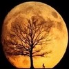 Scorpio Moon =) sapherequeen photo