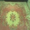 the french aubusson rug -mine