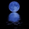 blue moon! plum-creek-girl photo