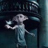 dobby in harry potter THE DEATHLY HALLOW PART 1 codysimpson10 photo