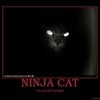U in deep doodoo now Ninja-Kitten photo