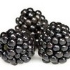Black berries Kezz234 photo