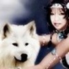 silver mist is the name and sasha is my owner kcano photo
