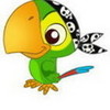 Skully the Pirate Parrot caesar213 photo