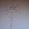an awful  drawing of a rose by .......me moonwalker64 photo