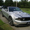 MUSTANG GT Shannonkelly photo