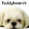  teddybear64 photo