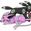 Our Family In Espeon Form Blaze-cat photo