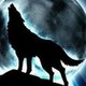 black-wolf14