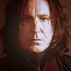 Snape | Close Up, Brown | going_backwards@lj Mel_52 photo