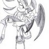 me and shadow -rouge-bat- photo