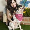 Demi and a dog :) Hot_n_cold photo