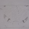 My Toothless drawing GogleyEyedQueen photo
