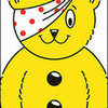 pudsey h4ever photo