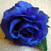The blue rose blujester photo