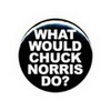 What would Chuck Norris do? ninjafranmirdyn photo