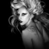 Lady Gaga Micii photo