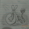 My Milotic Sketch that I did in class:) miloticfan54 photo
