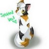 Spottedleaf is one of the best cats in Warriors! XD <3 Peacestar1224 photo