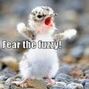 FEAR THE FUZZY! >:D PenelopeWolf1 photo