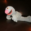 Grover;)  PenelopeWolf1 photo