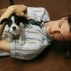 Matthew Gray Gubler and puppies could it get any better? OwlEyes12 photo