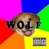 Wolf: Possible Album Cover ReneeKetchum photo