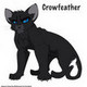 CrowfeatherPwns