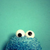 Cookie monster ~<3 hilmeli photo
