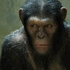 Caesar (Rise of the Planet of the Apes) edwardshrules photo