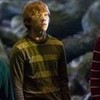 harry potter, ron weasley, and hermione granger in the dark forest brittanyg19 photo