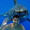 Animal Encounters - Shark New1Superion2 photo