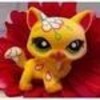 i am a  flower lps-lover photo